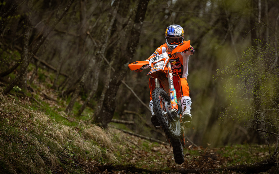 Picture of Ktm 2026 KTM 300 EXC Champion Edition 2026