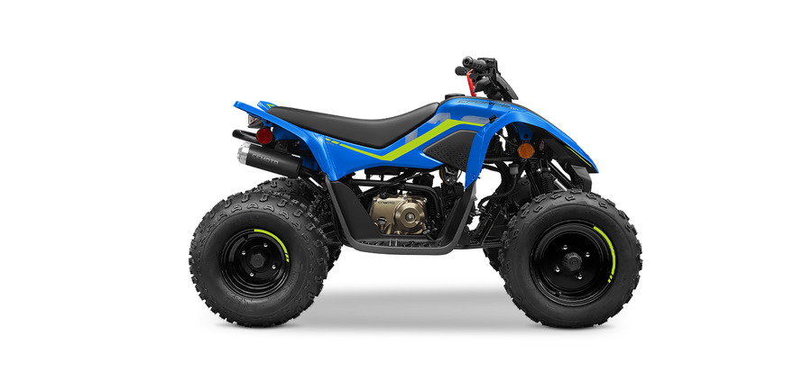 Picture of Cfmoto CFORCE110SE 